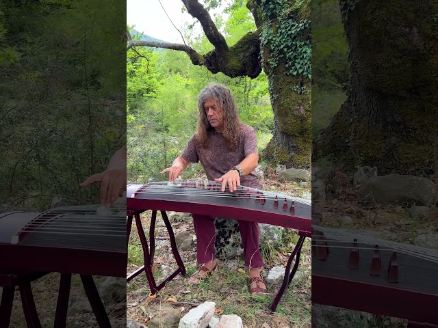Meditation Guzheng Serenity Must - CANAO music