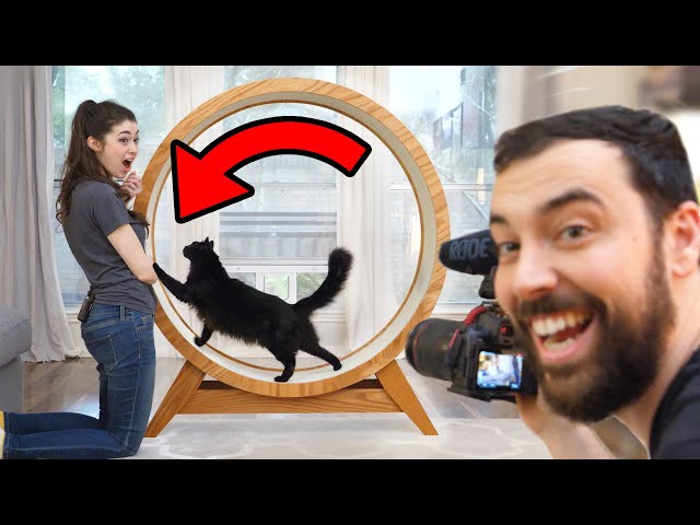 Making a Giant Hamster Wheel for our Cat