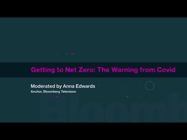 Getting to Net Zero: The Warning from Covid