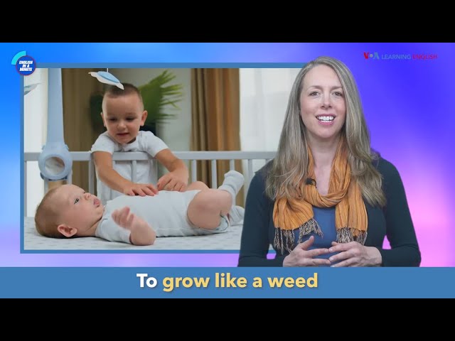 English in a Minute: Grow Like a Weed