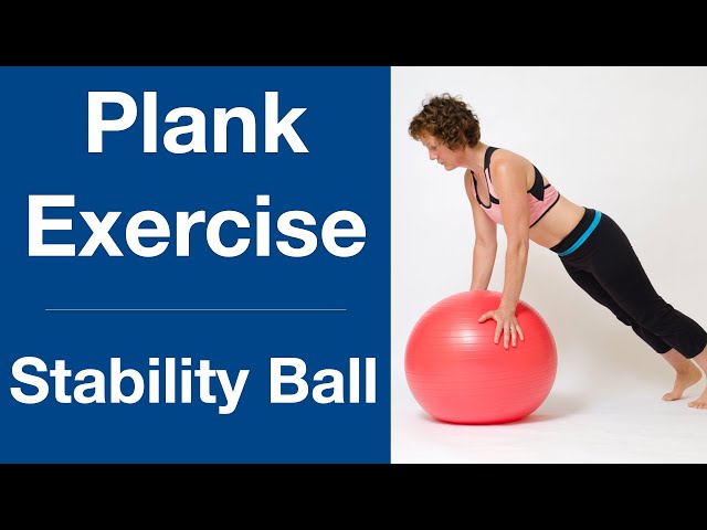 Stability Ball Plank Exercises