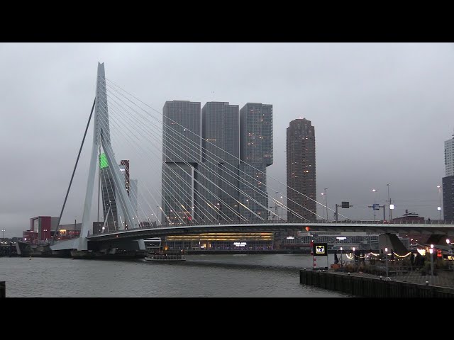 Perils For Pedestrians 274: Rotterdam