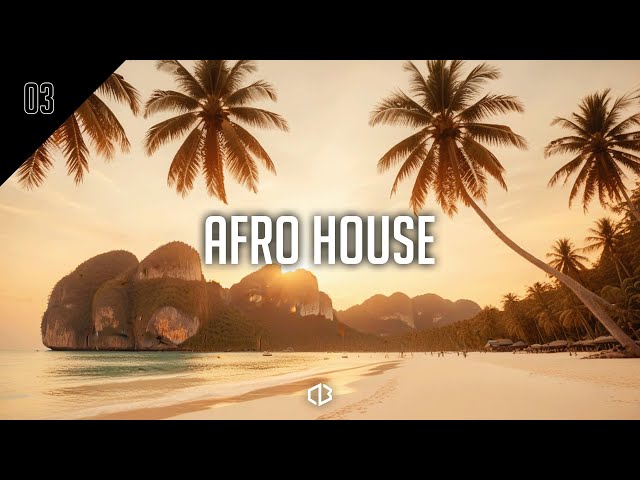 Afro House Mix | Live from Koh Phi Phi | By DJ Goky | DB Selections | EP 03 | May 2024