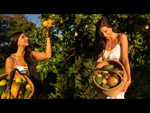 Property Tour! 🌱 What I'm Growing on My 9-Acre Organic Fruit Orchard in Hawaii 🥭 700+ Trees Planted!