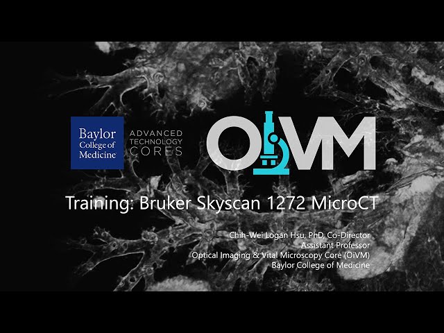 Training: Bruker Skyscan 1272 microCT