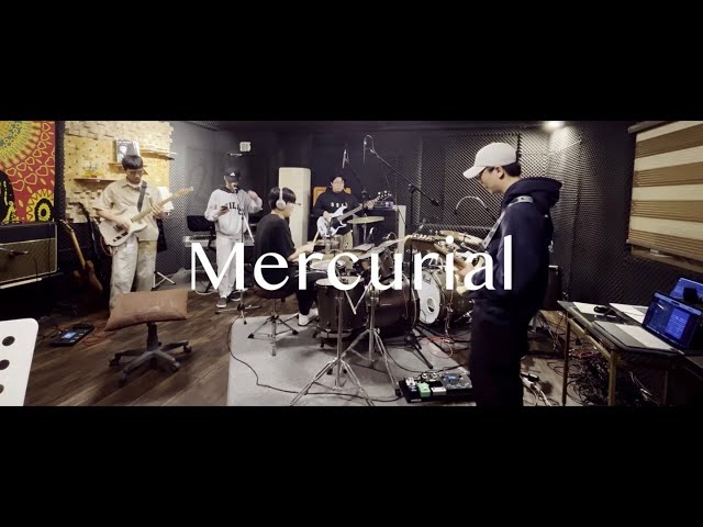 실리카겔 - Mercurial 밴드 커버