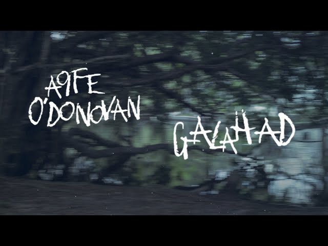 Aoife O'Donovan - "Galahad" [Official Audio + Lyrics]