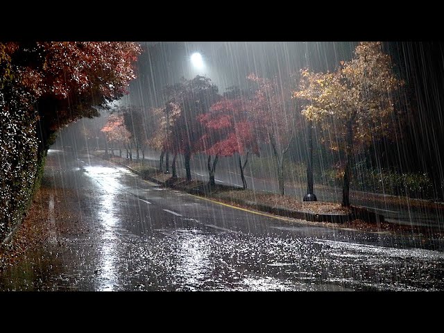 The soft sound of rain falling on a quiet road outside, white noise perfect for overcoming insomnia