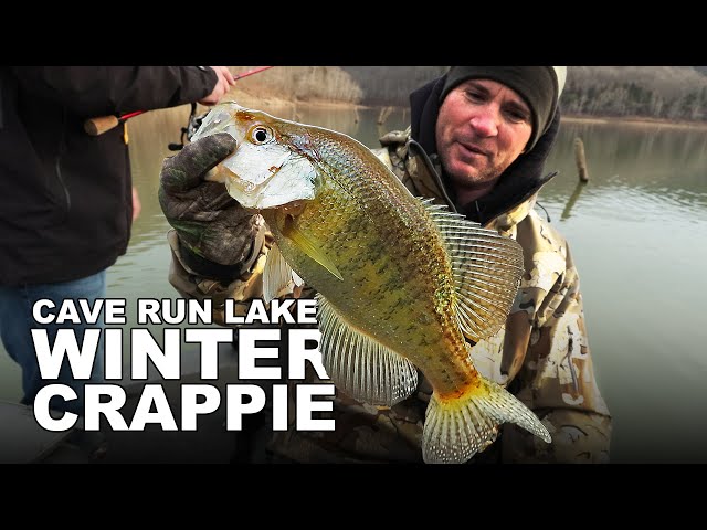 Trophy Crappie on Cave Run Crappie Lake with Kris Mann