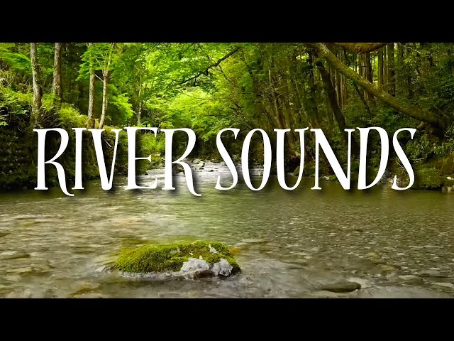 Calming River Scene - No Music or Birds