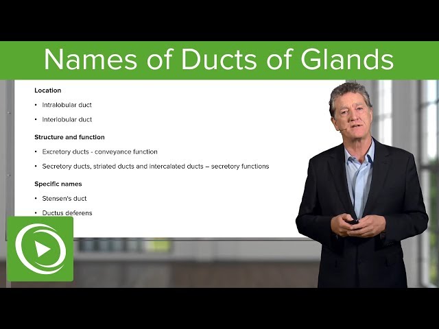 Names of Ducts of Glands – Histology | Lecturio