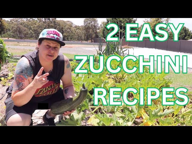 Transforming Big Zucchinis: 2 Delicious Recipes!    - Thomas Keller Style Zucchini