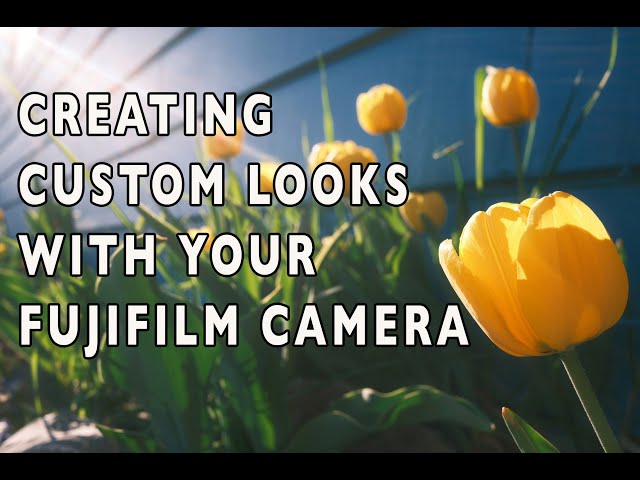 Creating Custom Looks with your FUJIFILM X Series Camera