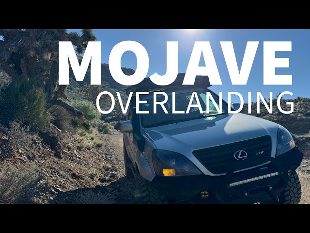 Mojave Overlanding - 1 hour from Vegas - Joshua Tree - Lava Tube Cave - Desert Cabin Camping