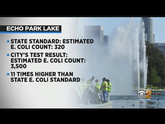 CBS2 Investigation: E. Coli Bacteria In Echo Park Lake Higher Than State Water Quality Standards