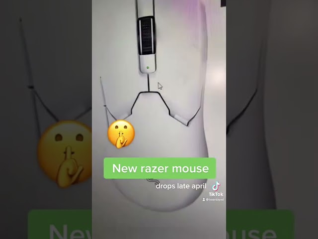 NEW Razer Mouse LEAKED! (shocking)