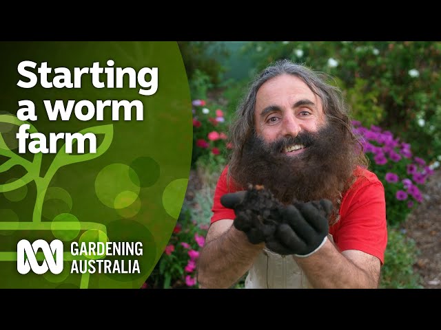 How to start a worm farm | DIY Garden Projects | Gardening Australia