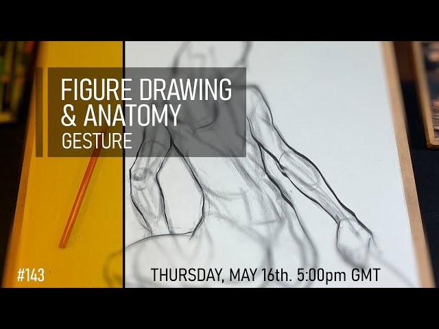 Figure Drawing & Anatomy - Gesture Poses #143
