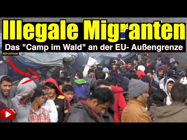 Illegale Migranten - Das "Camp im Wald" an der EU-Außengrenze