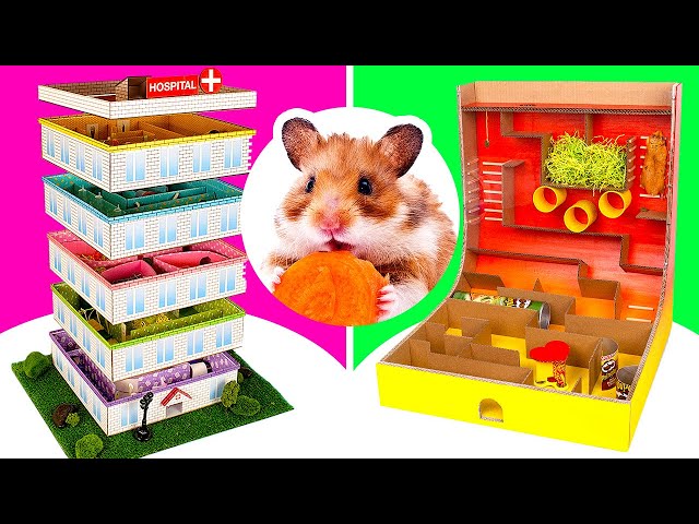2 DIY Hamster Mazes || Don't Let Your Pet Hamster Get Bored!