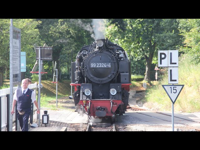 2013 Molli Railway in Germany
