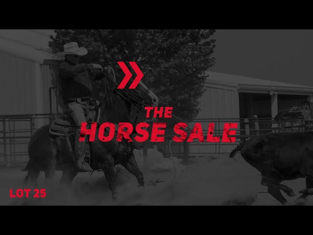 The Horse Sale at Rancho Rio March 11, 2022