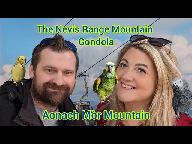 The Nevis Range Mountain Gondola with GameZone Birdroom
