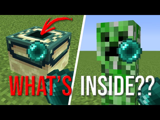 What's Inside Blocks in Minecraft?