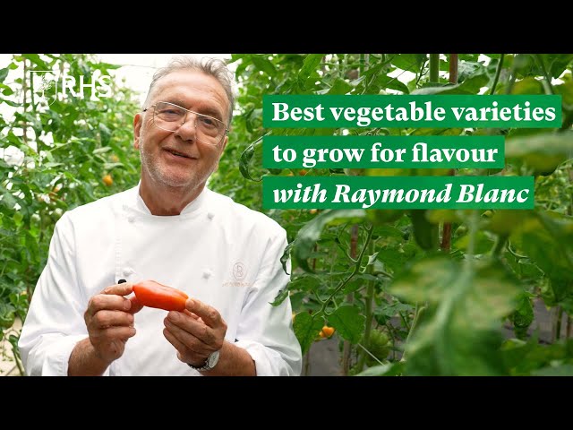 The best vegetable varieties to grow for flavour with chef Raymond Blanc | The RHS