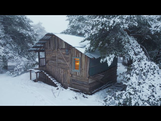 Staying in the freezing cold in a wooden cabin I abandoned 10 years ago