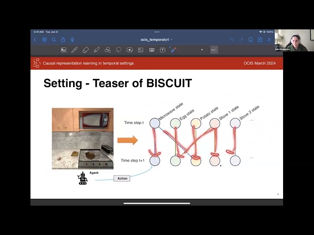 Sara Magliacane & Phillip Lippe: BISCUIT: Causal Representation Learning from Binary Interactions