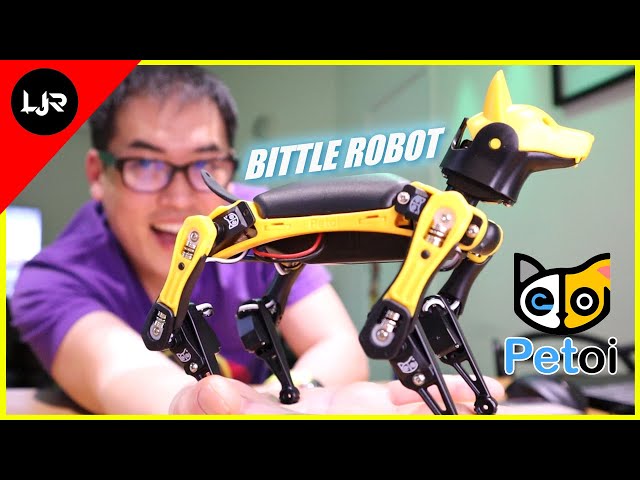 Bittle Robot - You Will Love This!