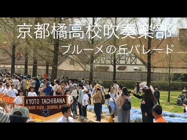 京都橘高校吹奏楽部 ブルーメの丘パレード 2019 午前の部 元気いっぱいのパレード