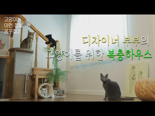 햇살 드는 따스한 집🏠 디자이너 부부와 3마리 고양이가 살고 있는 복층집ㅣ고양이는 이런 집을 꿈꾸집2 with @arirang3