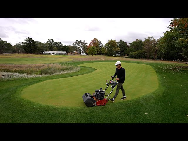 First Mow After an Aeration, Dethatch and Topdress // Renovation Results