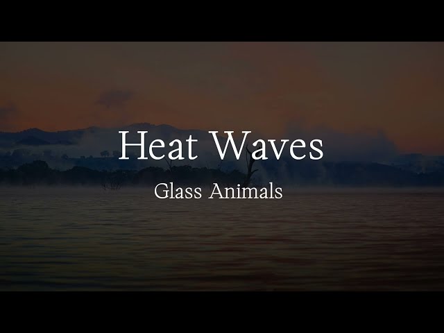 Heat Waves (Lyrics) - Glass Animals