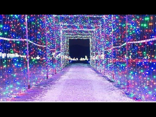 West Virginia State Fair Drive Thru Christmas Lights