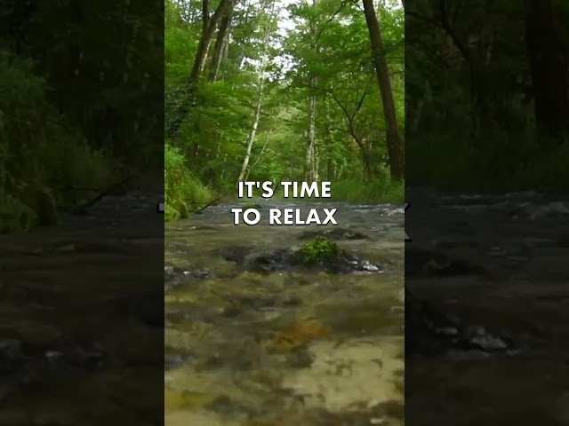 Relaxing Water Sounds to Refresh your Mind #shorts