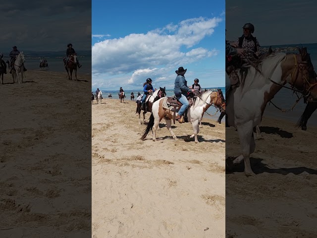 Passeggiata in spiaggia a cavallo sul litorale Nord di Termoli