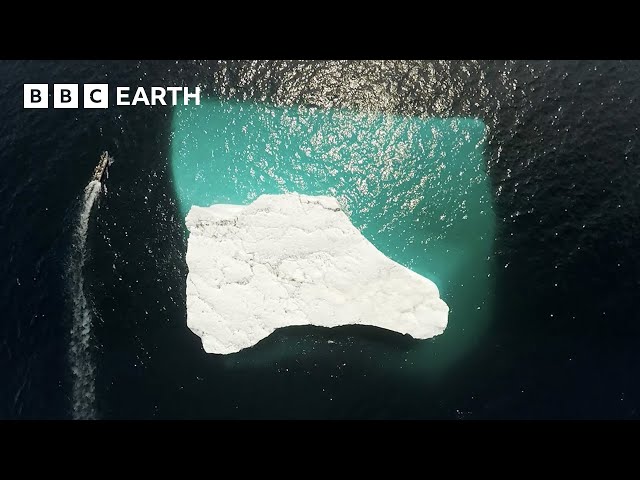 Icebergs Hidden By the Deep Sea | Forces of Nature | BBC Science