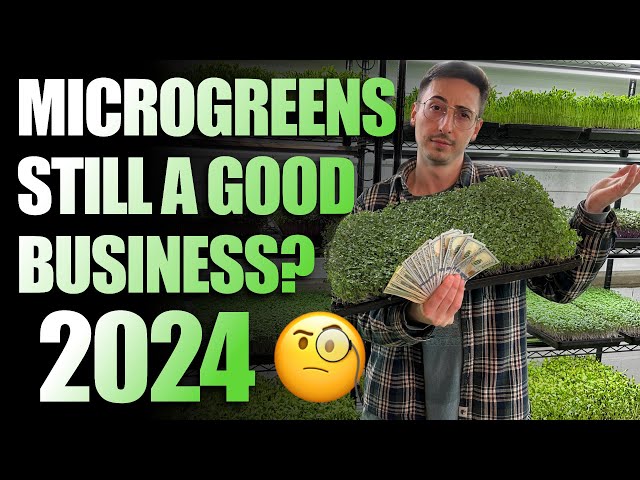 Should You Start A Microgreens Business In 2024? (The Truth)