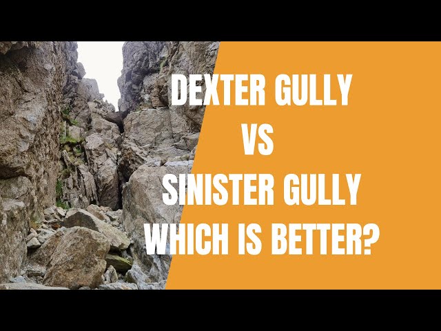 Dexter Gully Vs Sinister Gully Which Is Better?