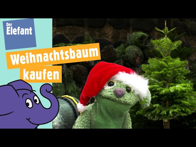 Knolle kauft einen Tannenbaum für Weihnachten | Der Elefant | WDR