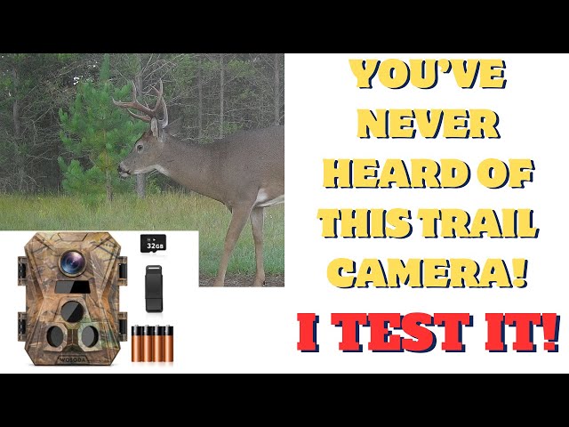 You have never heard of this trail camera! Wosoda