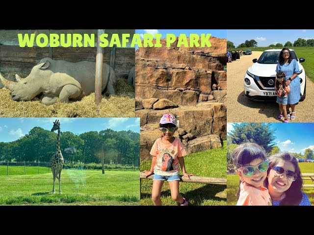 Woburn Safari Park UK | Drive through Safari in Bedfordshire | Woburn