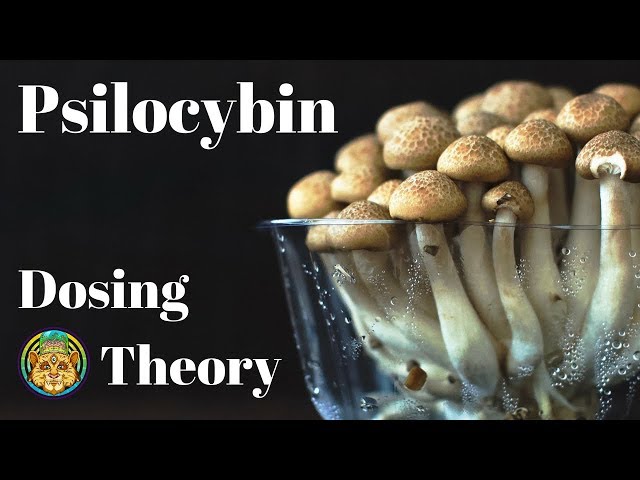 Psilocybin Dosing Theory | Five Dried Grams, Compass Points, and Orienting Voids
