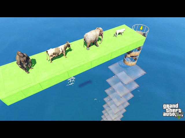 Gorila Saltos na água 🐸Gta 5: Animals & Gorilla Falls on Glass through a Pipe