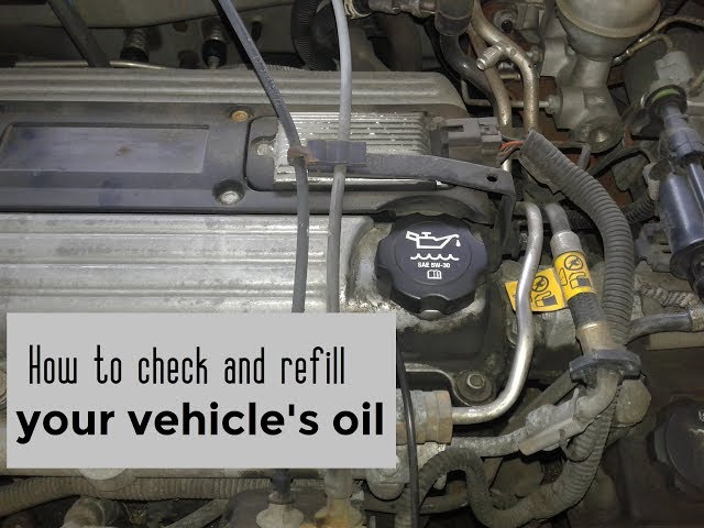 How to check and add oil to your vehicle DIY video | #diy #oil