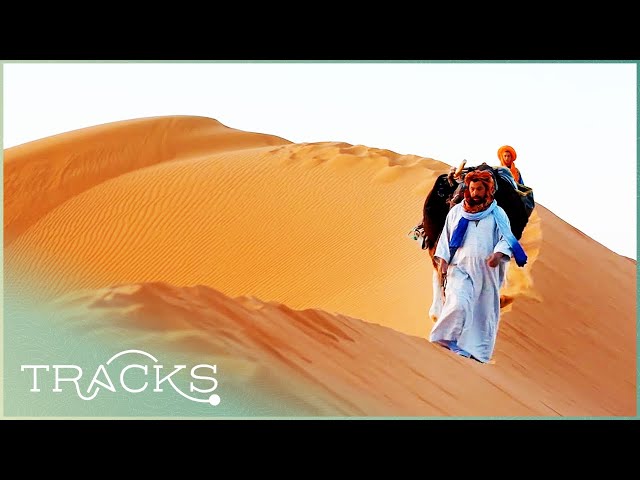 Red Dunes Of The Merzouga Desert In Morocco | TRACKS