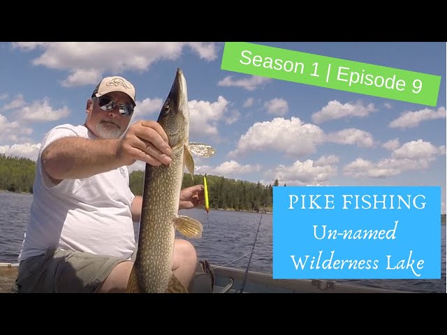 S1 E8 | Unnamed Wilderness Lake Pike, almost got stranded!